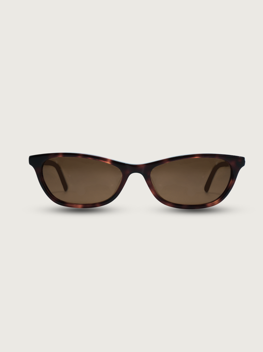 Dylan Frame - Tortoise