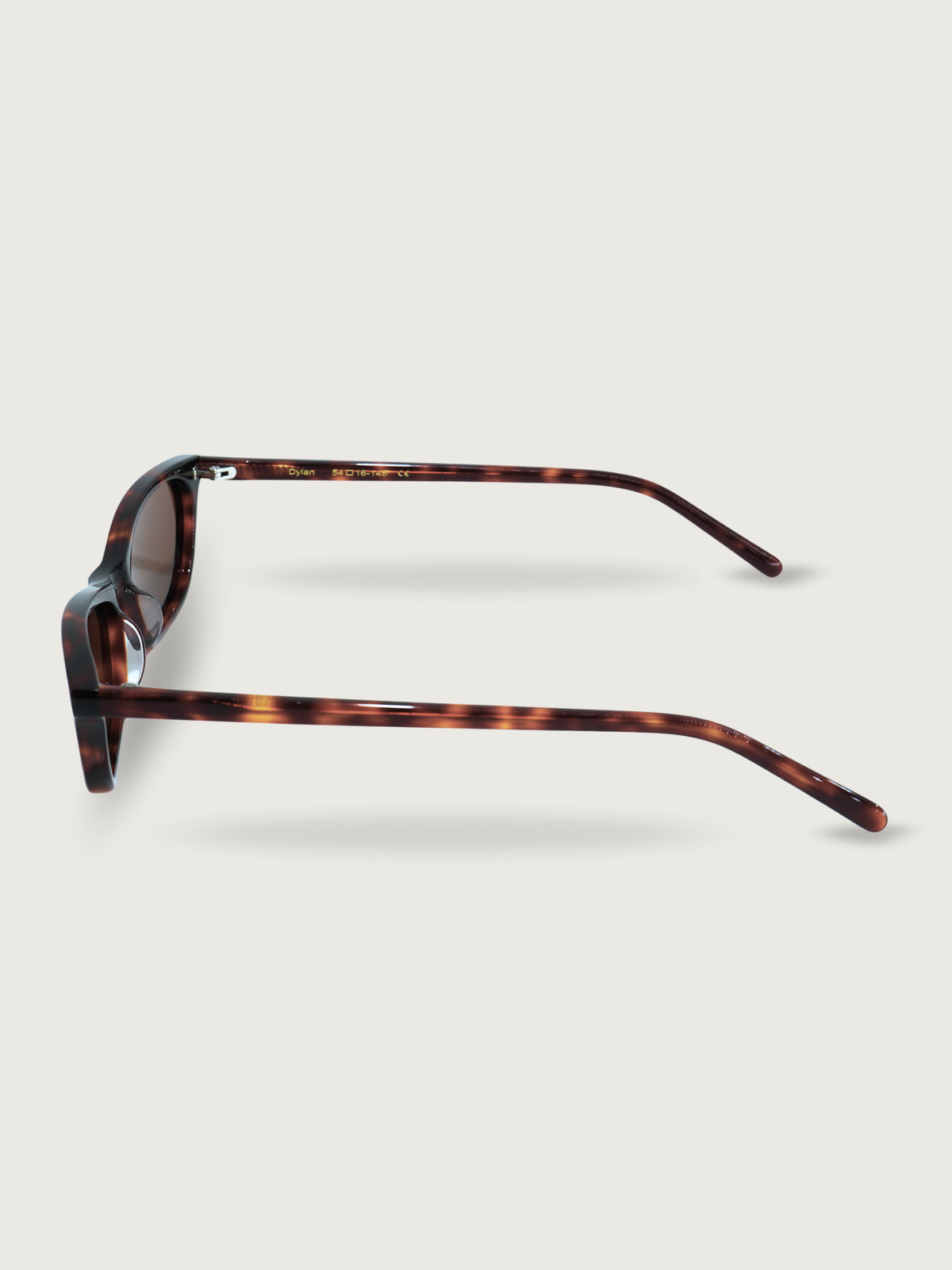 Dylan Frame - Tortoise