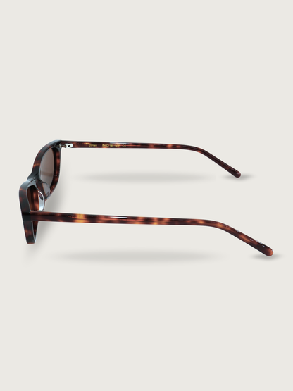 Dylan Frame - Tortoise
